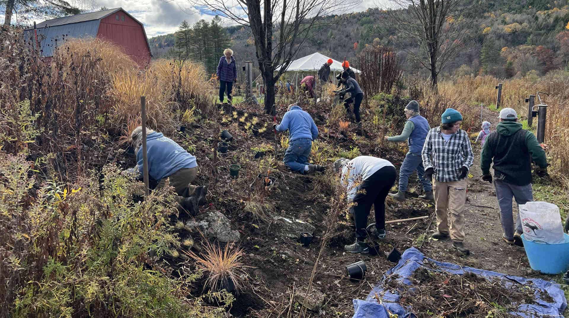 Volunteer Planting Project