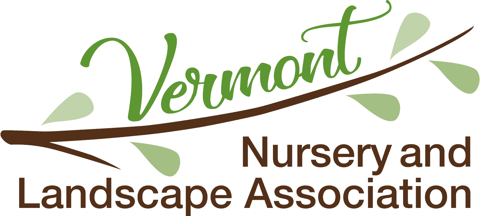 2026-VNLA-Final-Logo