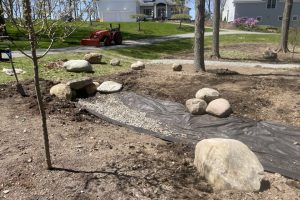 Dicot Land Studio LLC image 13