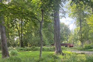 Dicot Land Studio LLC image 7