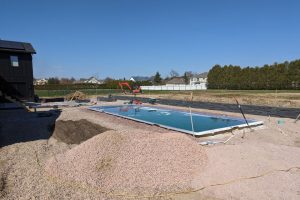 Ginkgo Design image 10