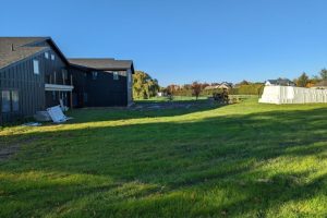 Ginkgo Design image 11