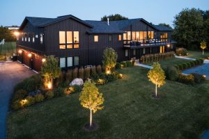 Ginkgo Design image 13