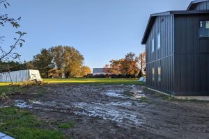 Ginkgo Design image 7