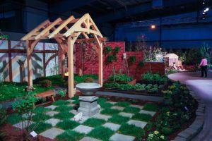 flower show image 14