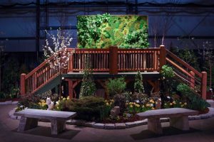 flower show image 17