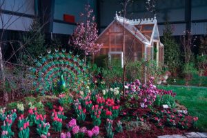 flower show image 20