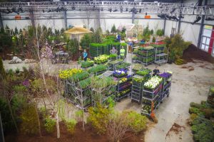 flower show image 23