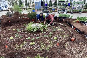 flower show image 27