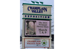 flower show image 30