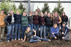 flower show image 33