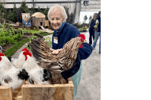 flower show image 34