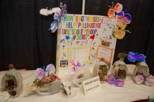 flower show image 42