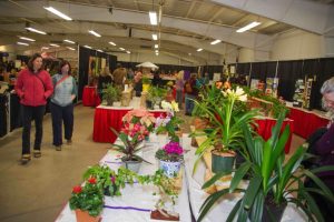 flower show image 46